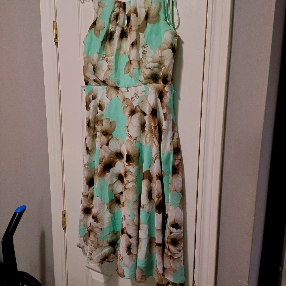 Laura Petite size 4P  sleeveless zipper back dress. Floral pattern